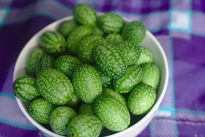 cucumelon cucamelon salad recipe